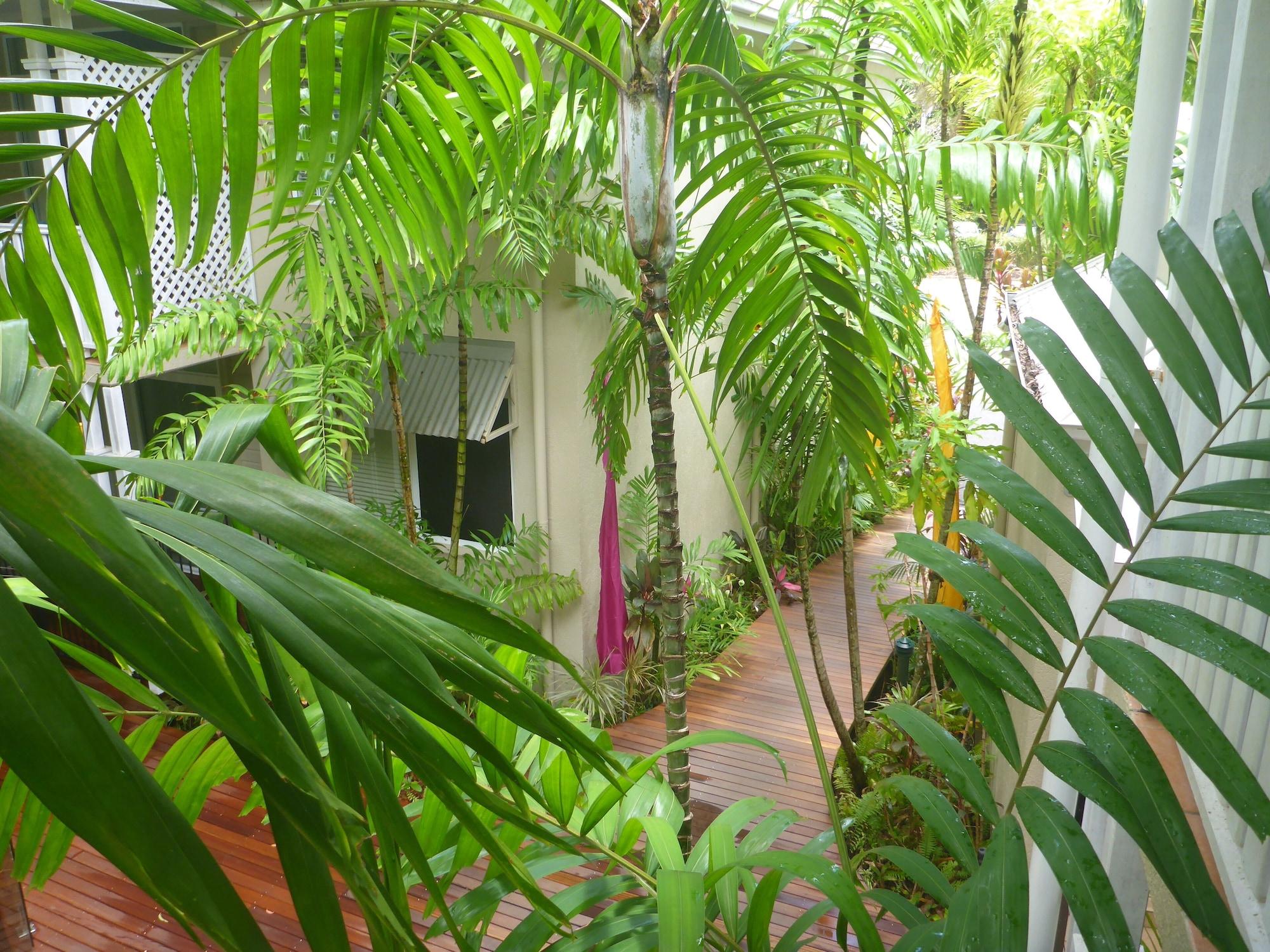 Palm Cove Tropic Apartments Dış mekan fotoğraf