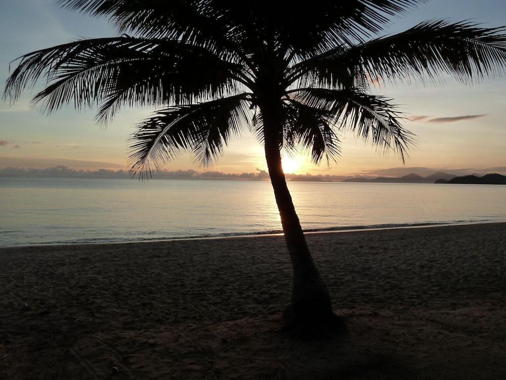 Palm Cove Tropic Apartments Dış mekan fotoğraf