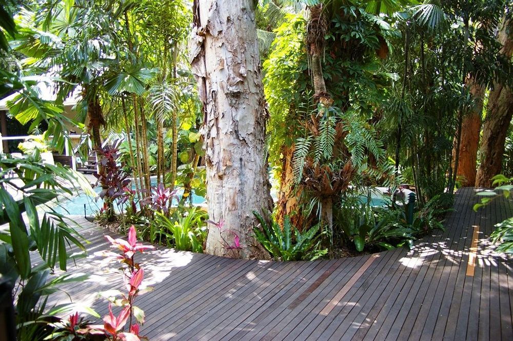Palm Cove Tropic Apartments Dış mekan fotoğraf